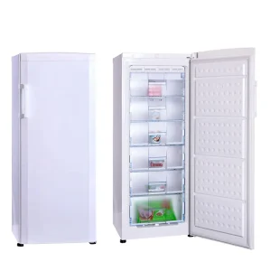 245L Single-Door Upright Freezer