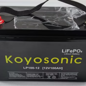12V/24V LiFePO4 Heating Resistance Backup Battery (100-300Ah)
