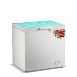 Commercial Chest Freezer