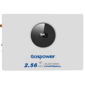 GOSPOWER GPLB-24100M - 25.6V 100Ah LiFePO4 Lithium Battery (2.56 kWh)